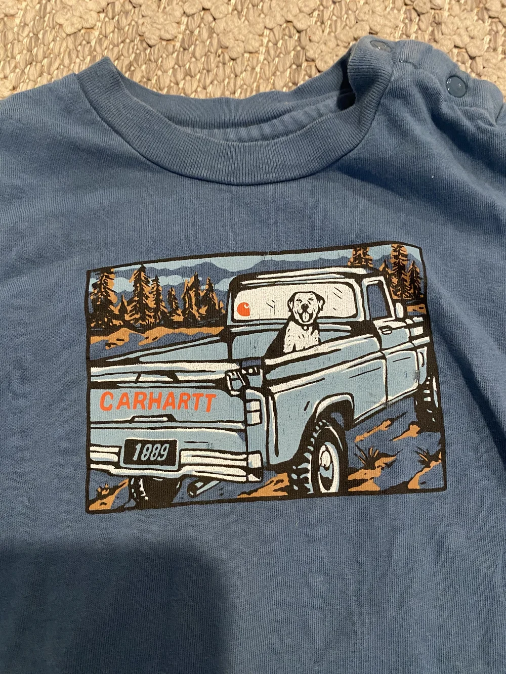 Carhartt Baby Bodysuit with Dog In A Truck Graphic
